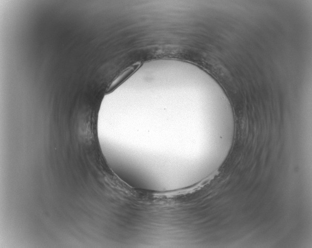 X0000068311250200605122021