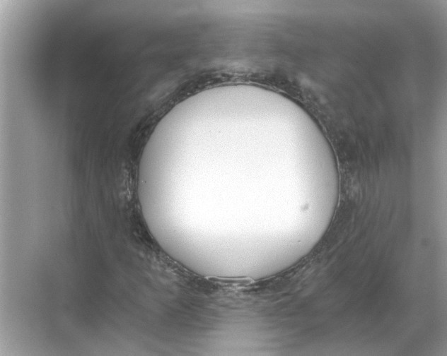 X0000068311253200605122021