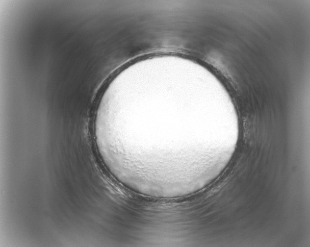 X0000068311260200605122021