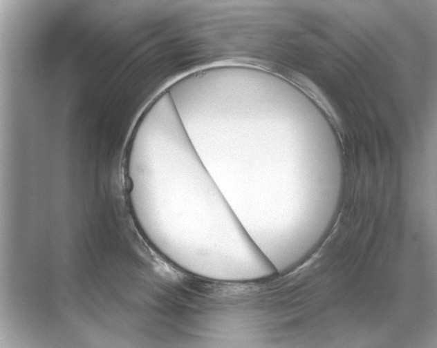 X0000068311292200605122020