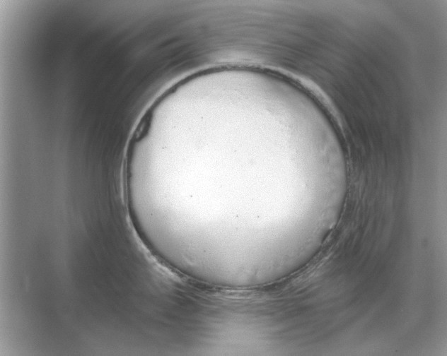 X0000068311295200605122020