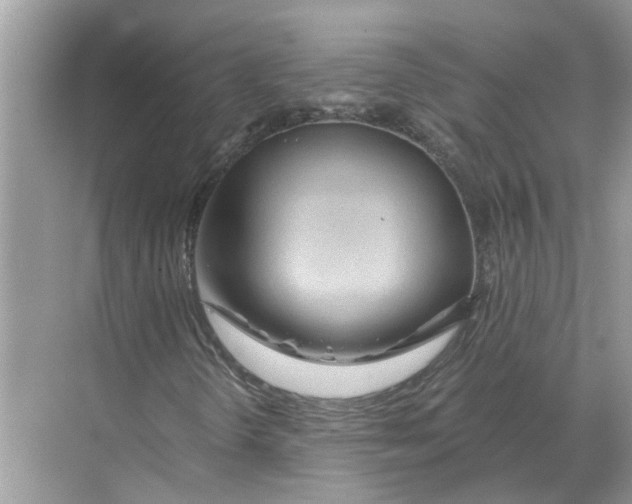 X0000068311298200605122019