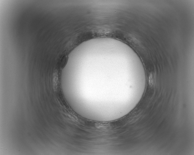 X0000068311299200605122019