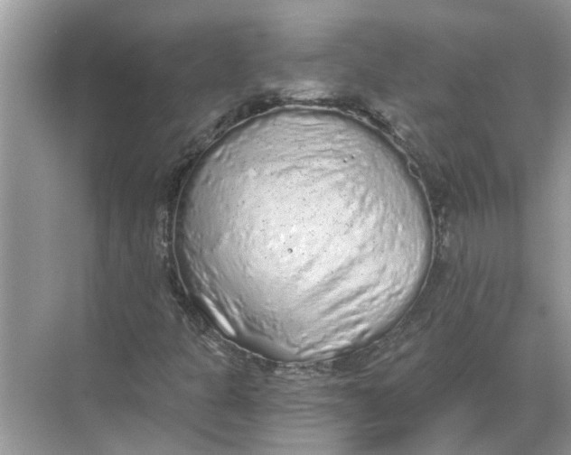 X0000068311301200605122019