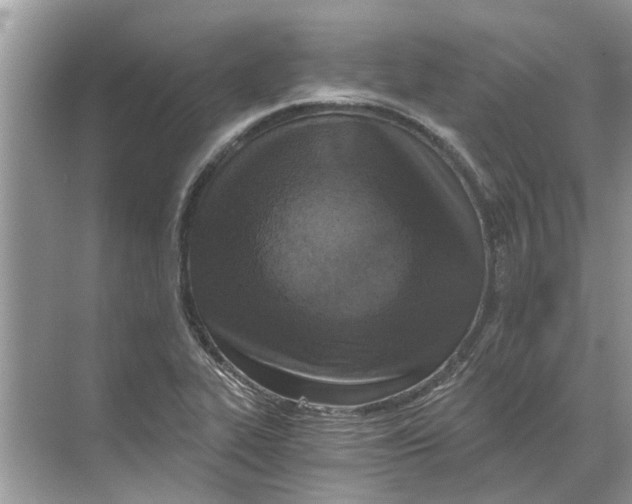 X0000068311319200605122019