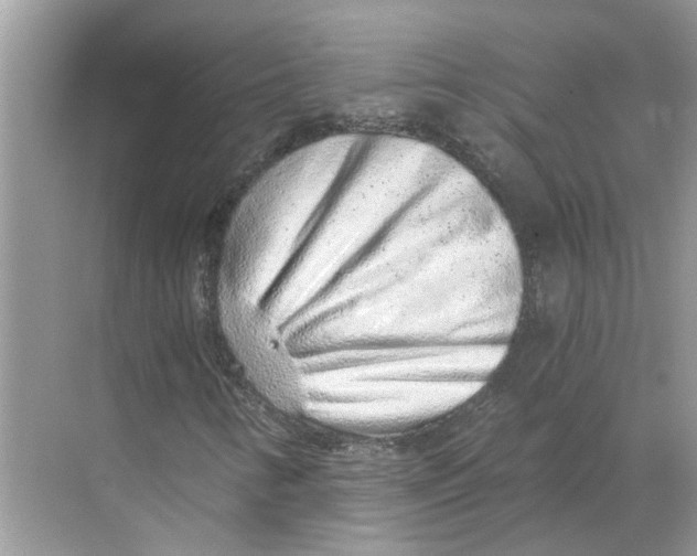X0000068311346200605122019