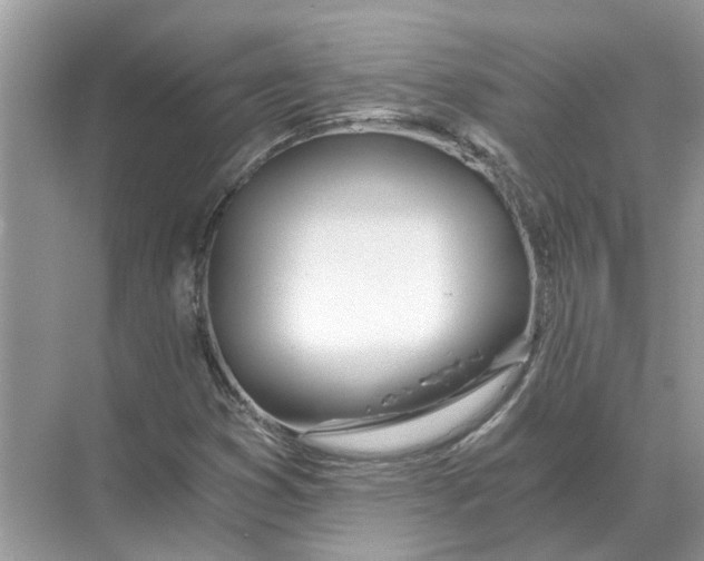 X0000068311353200605122019