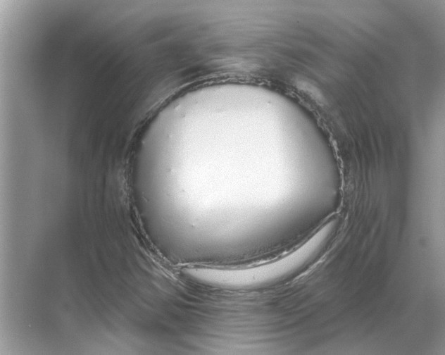 X0000068311354200605122019