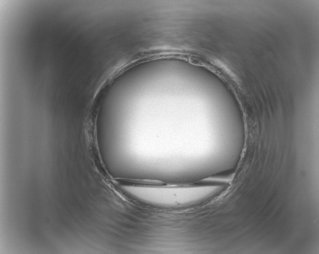X0000068311357200605122019