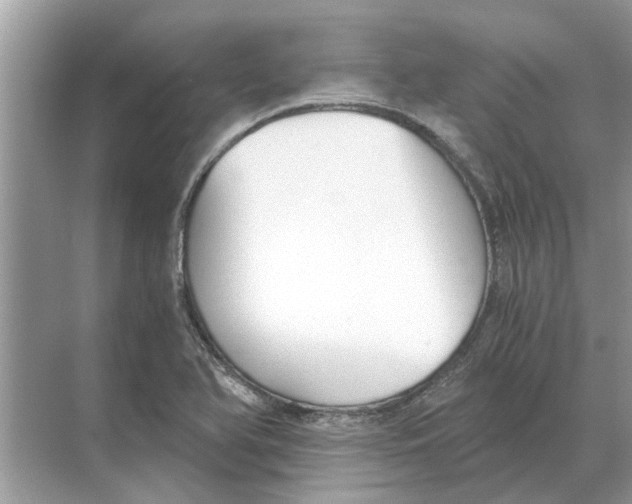 X0000068311366200605122019