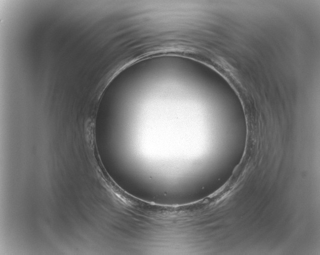 X0000068311369200605122019
