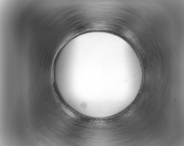 X0000068311370200605122019