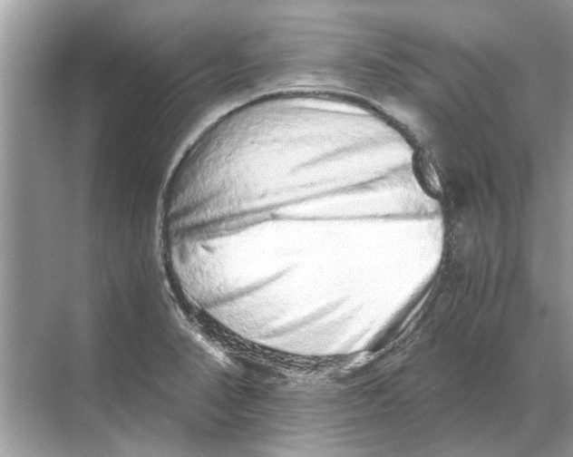 X0000068311374200605122019