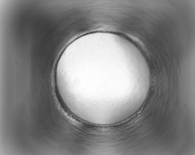 X0000068311375200605122019