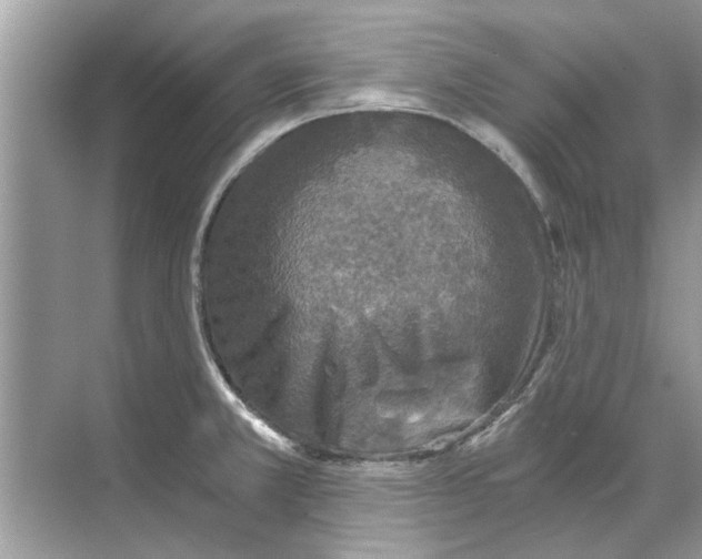 X0000068311381200605122018