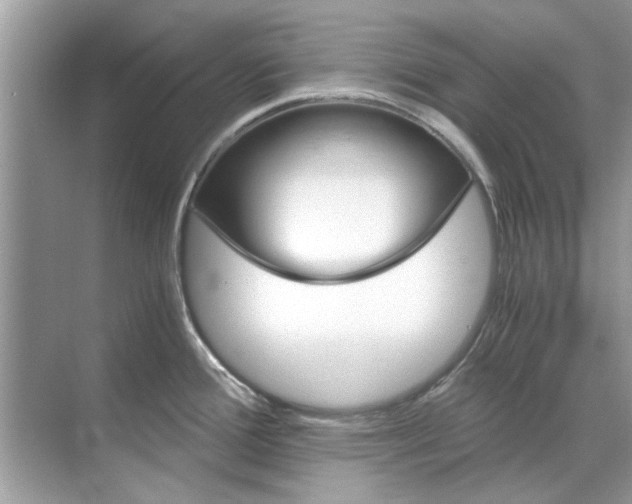 X0000068311388200605122018
