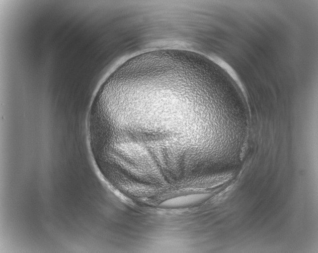 X0000068311389200605122018