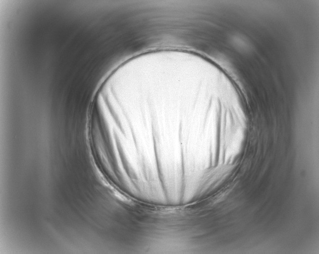 X0000068311390200605122018