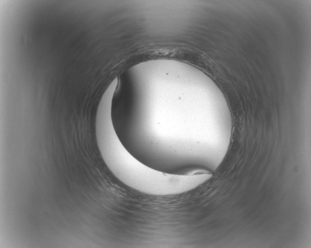 X0000068311394200605122018