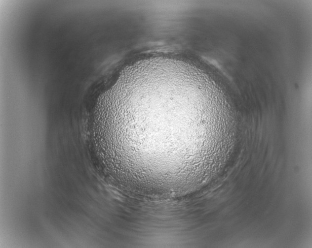 X0000068311399200605122018