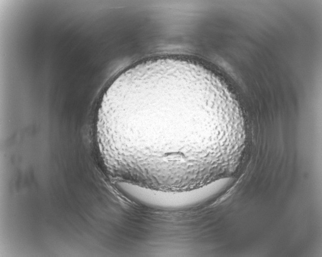 X0000068311405200605122018
