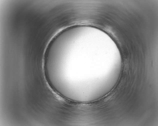X0000068311424200605122018