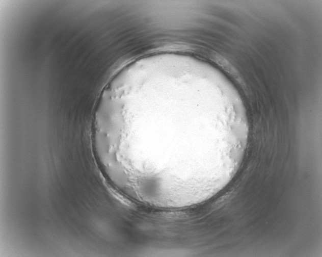 X0000068311425200605122018
