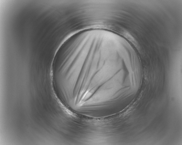 X0000068311428200605122018