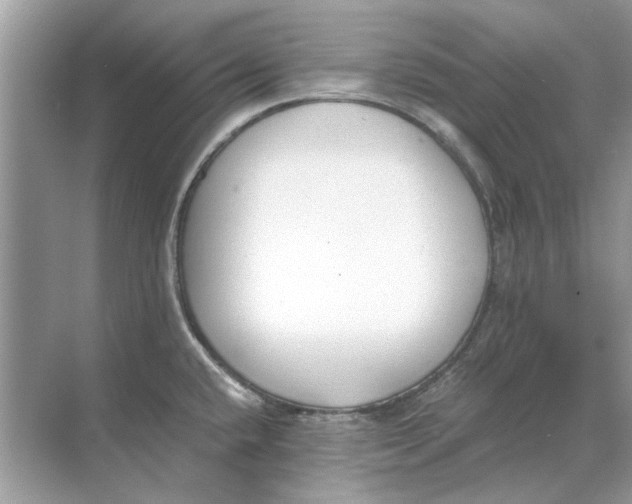 X0000068311432200605122018