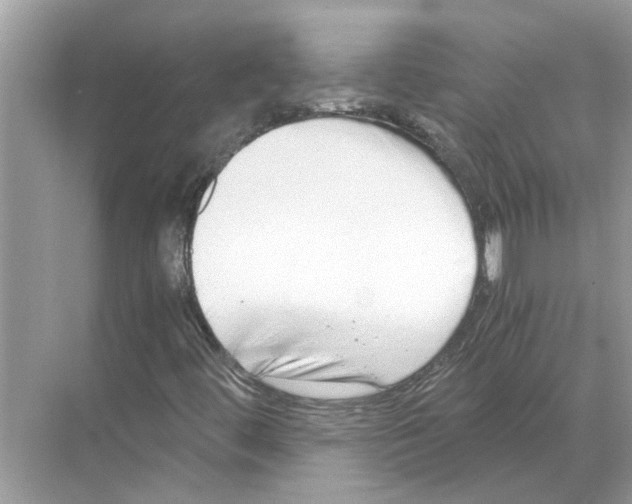 X0000068311444200605122017