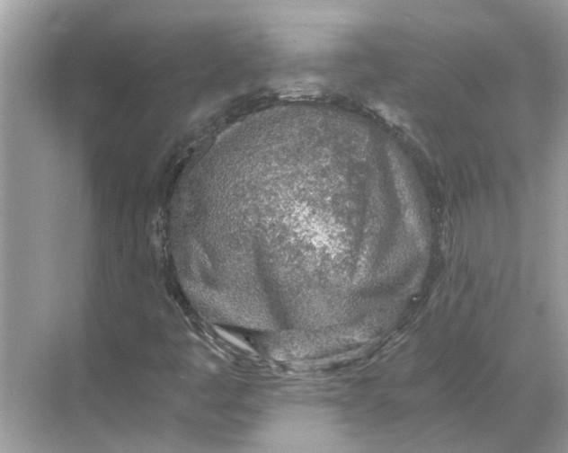 X0000068311445200605122017