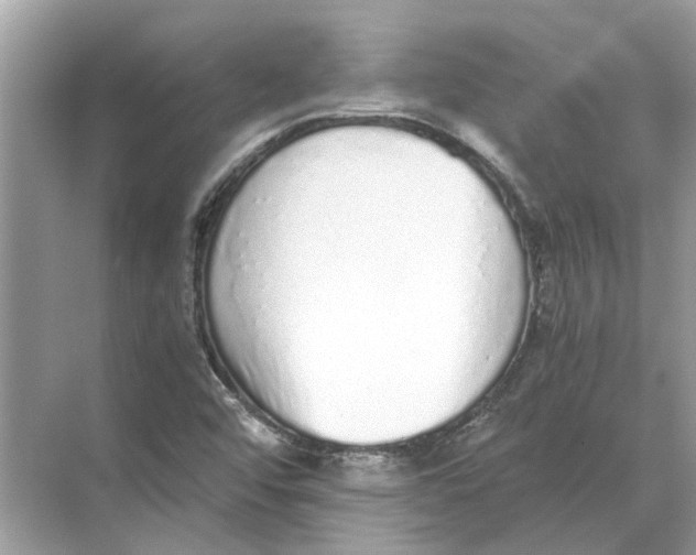 X0000068311456200605122017