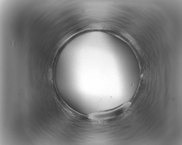 X0000068311465200605122017