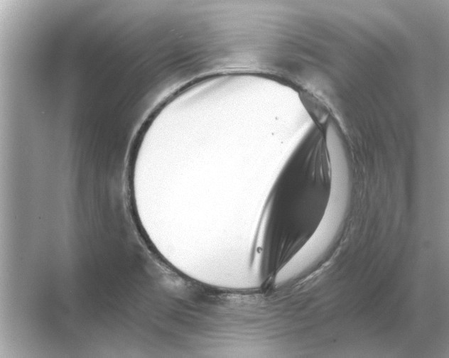 X0000068311469200605122017