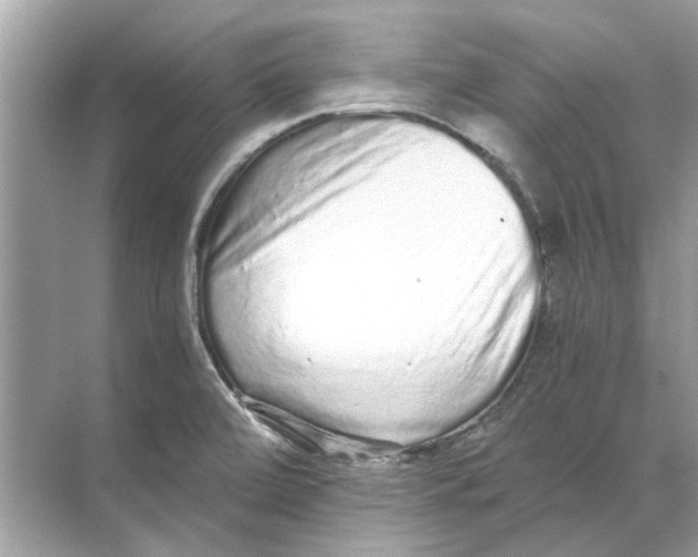 X0000068311472200605122017
