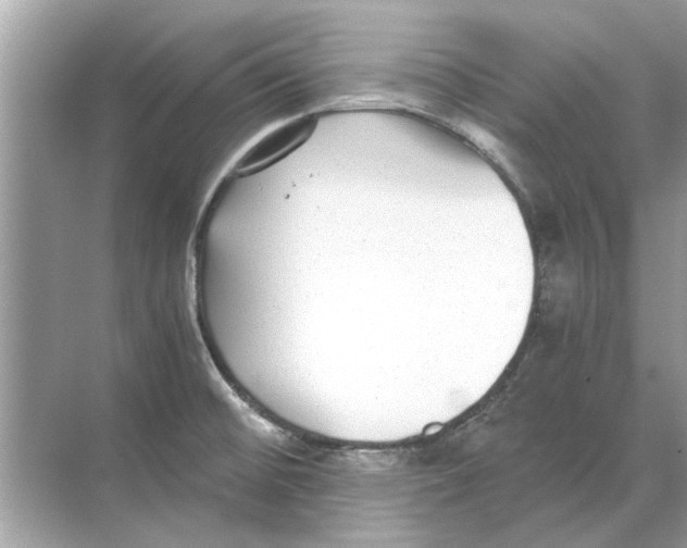 X0000068311476200605122017