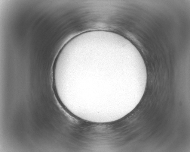 X0000068311479200605122017