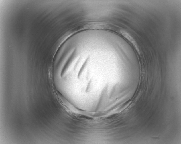 X0000068311481200605122017