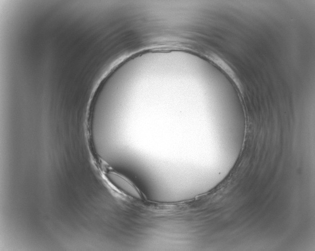 X0000068311485200605122017