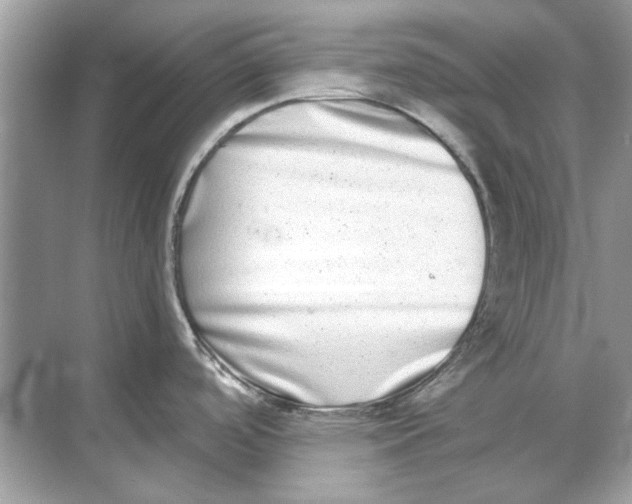 X0000068311488200605122017
