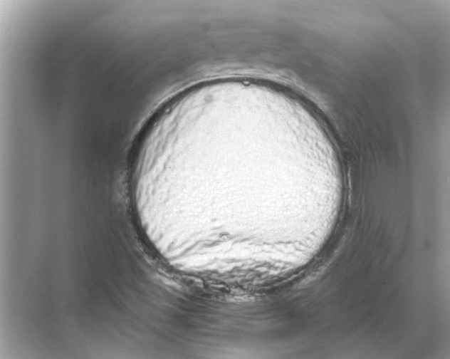 X0000068311501200605122016