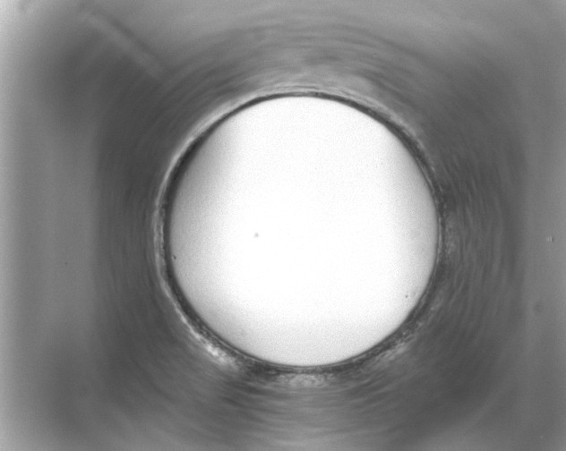 X0000068311517200605122016