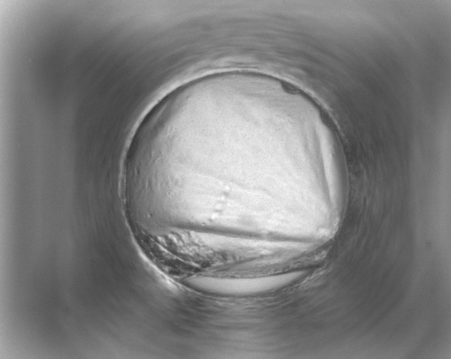X0000068311527200605122017