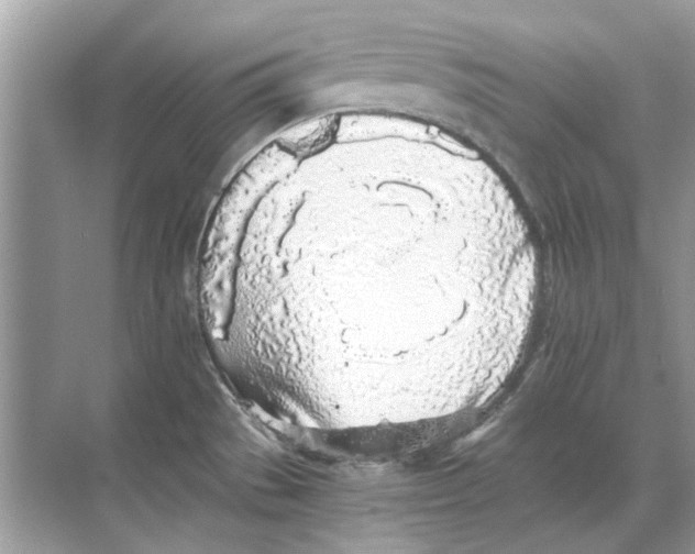 X0000068311529200605122017
