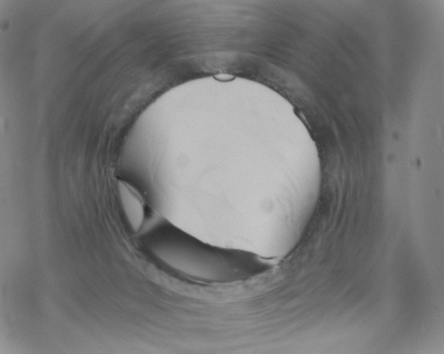X0000068310031200605192019