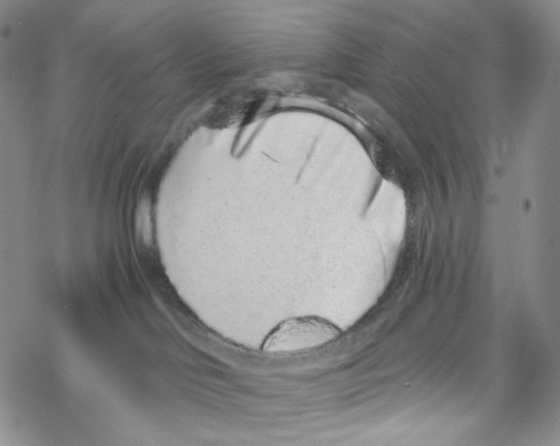 X0000068310046200605192019
