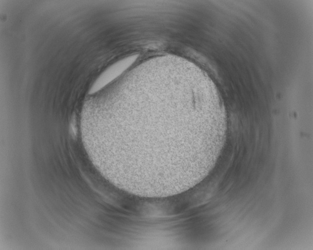 X0000068310069200605192018