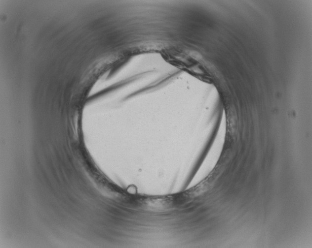 X0000068310070200605192018