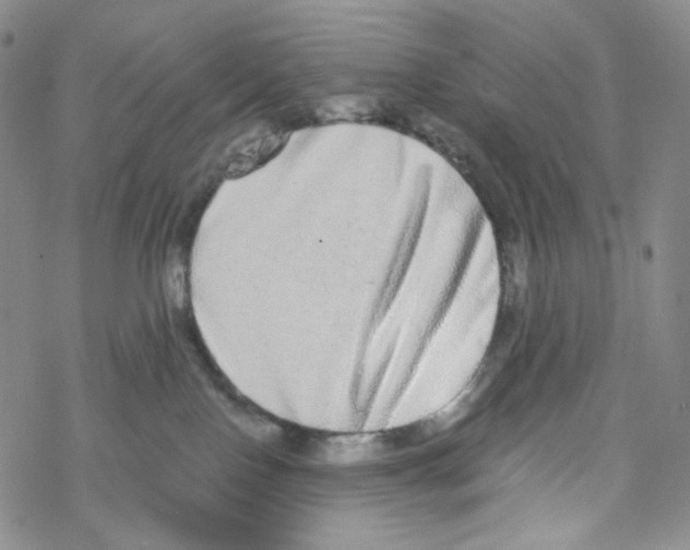 X0000068310090200605192019