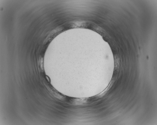 X0000068310094200605192019